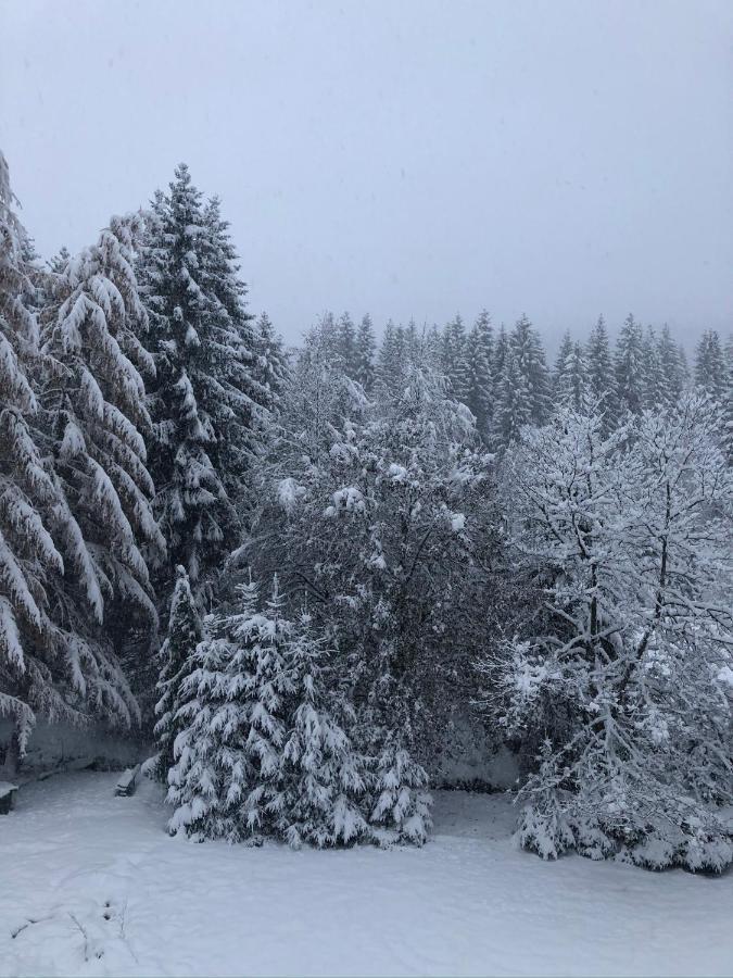 Le Chalet Du Narouel Gérardmer Eksteriør billede